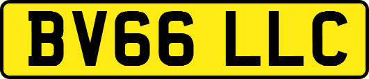 BV66LLC