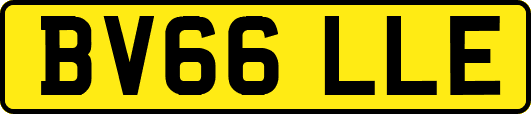 BV66LLE