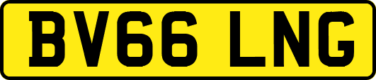 BV66LNG