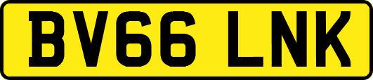 BV66LNK