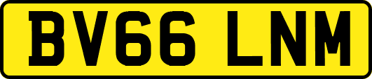 BV66LNM