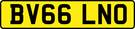 BV66LNO