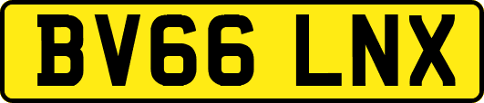 BV66LNX