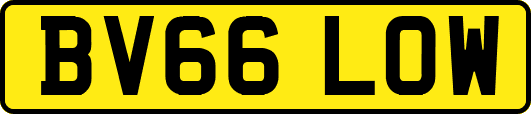 BV66LOW