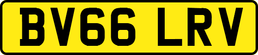 BV66LRV