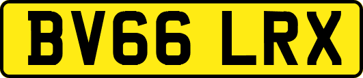 BV66LRX