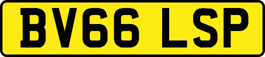 BV66LSP