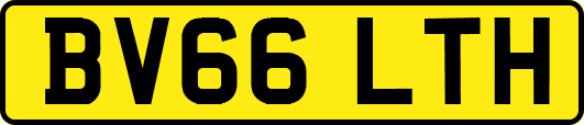 BV66LTH