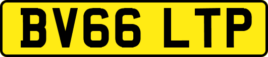 BV66LTP