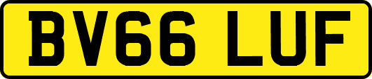 BV66LUF