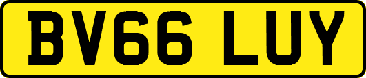 BV66LUY