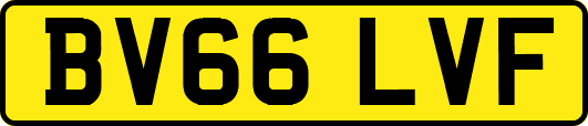 BV66LVF