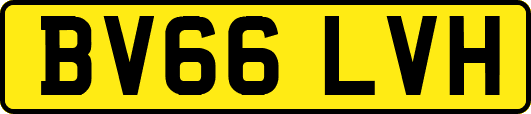 BV66LVH