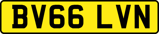 BV66LVN