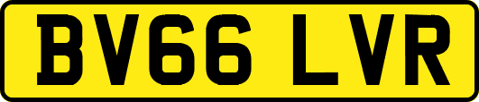 BV66LVR