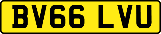 BV66LVU