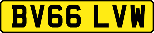 BV66LVW