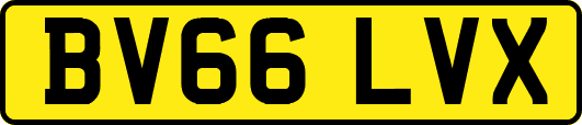 BV66LVX