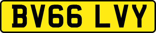 BV66LVY