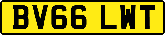 BV66LWT