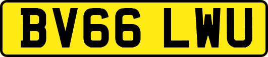 BV66LWU