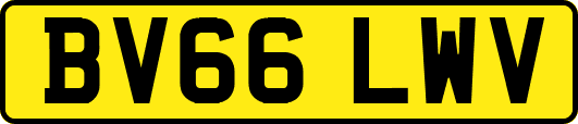 BV66LWV