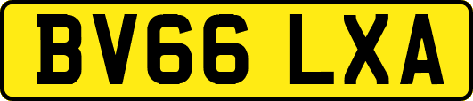 BV66LXA