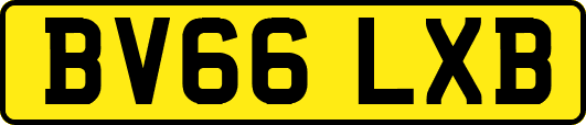 BV66LXB