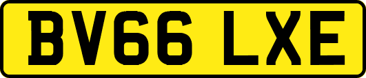 BV66LXE