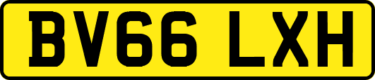 BV66LXH