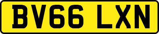 BV66LXN