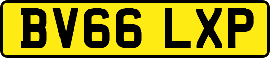 BV66LXP