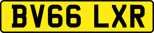 BV66LXR