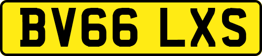 BV66LXS