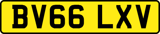 BV66LXV