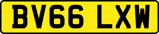 BV66LXW