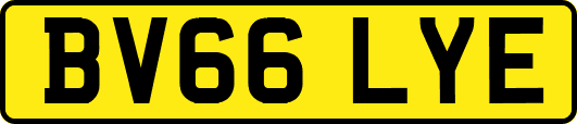 BV66LYE