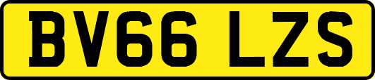 BV66LZS