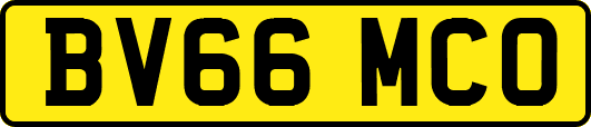 BV66MCO