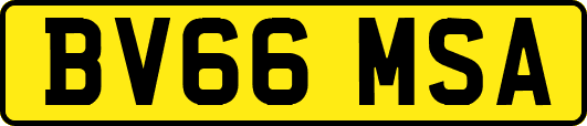 BV66MSA