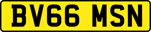 BV66MSN