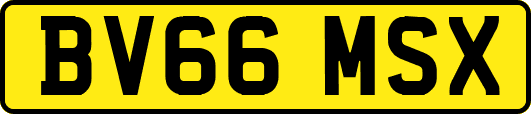 BV66MSX