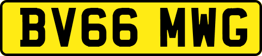 BV66MWG