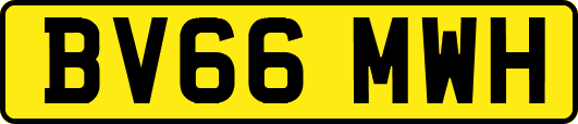 BV66MWH