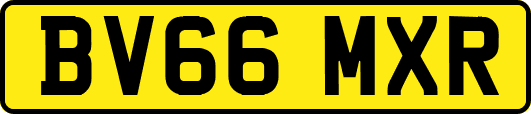 BV66MXR