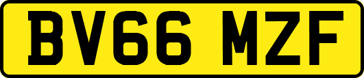 BV66MZF