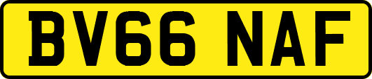 BV66NAF