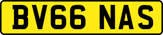 BV66NAS