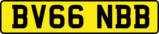 BV66NBB