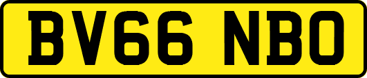 BV66NBO